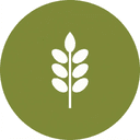 Gluten